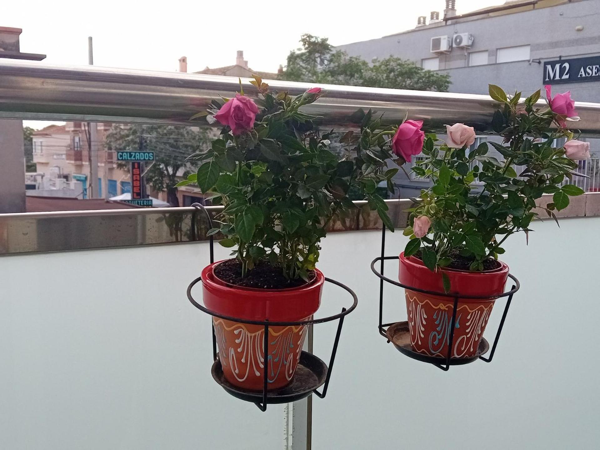 El Estudio De Las Mariposas,Sofa Cama , Cocina Y Bano Partida de La Cañada Zewnętrze zdjęcie